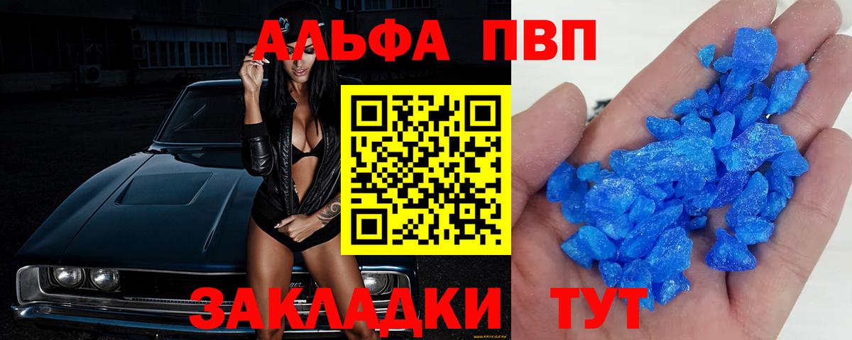 A PVP СК КРИС Новозыбков
