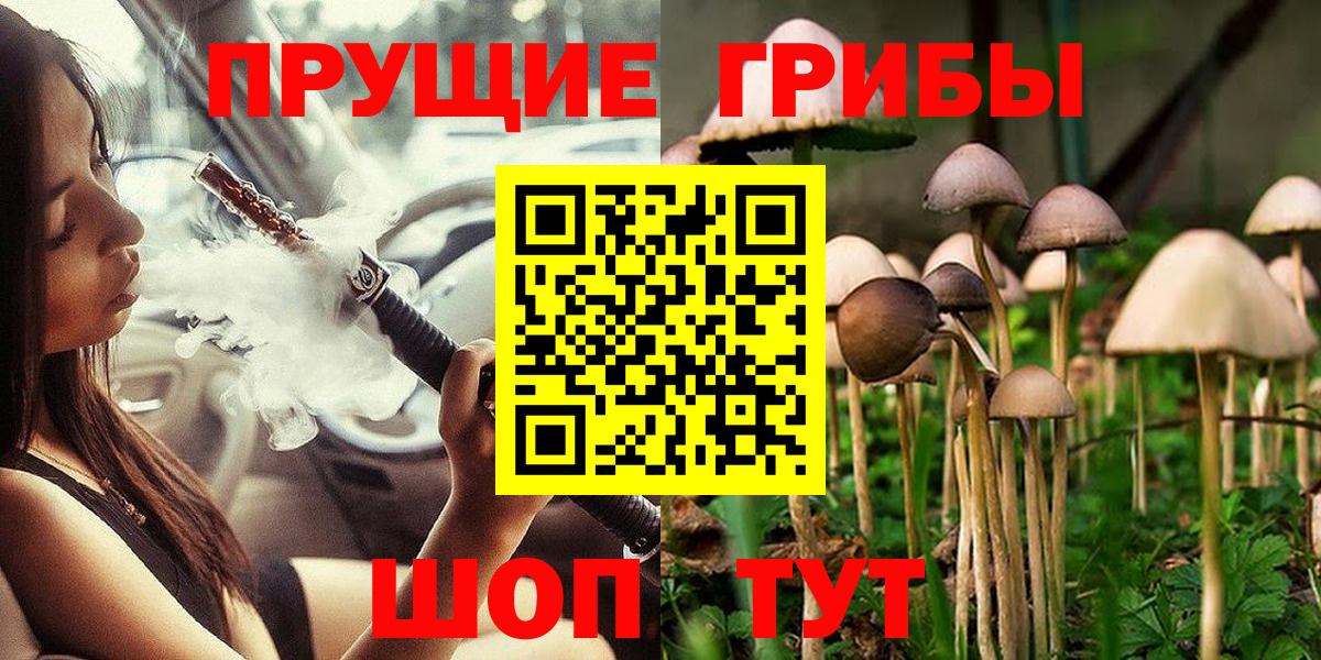Галлюциногенные грибы Psilocybine cubensis Новозыбков