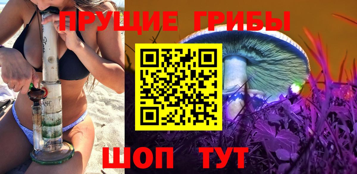 Псилоцибиновые грибы MAGIC MUSHROOMS  Галлюциногенные грибы Cubensis  Новозыбков  Вход с VPN 