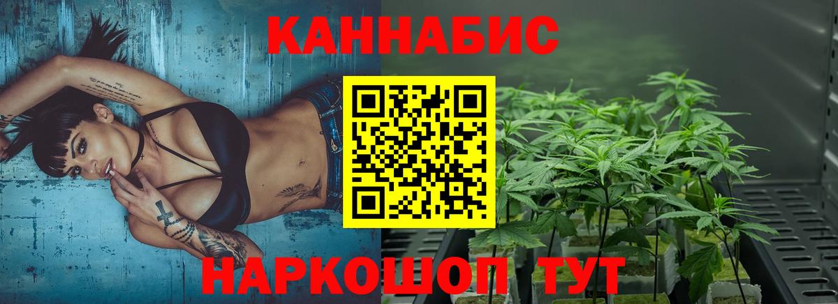 Гашиш  APVP СОЛЬ   Меф   Кокаин  Гашиш  Новозыбков  Экстази  Конопля  Вход с VPN 